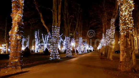 在萨格勒布的Advent时间公园Zrinjevac视频的预览图