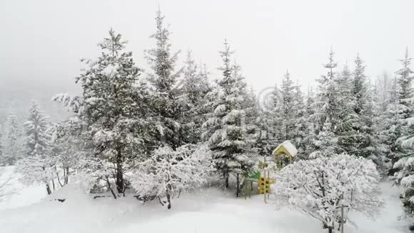 冬季喀尔巴阡山景观白雪中的圣诞树视频的预览图