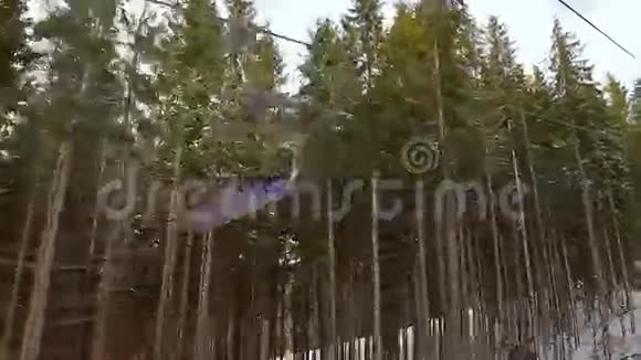 在森林里抬椅子视频的预览图