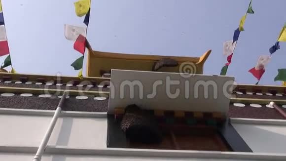 尼泊尔佛寺野蜂视频的预览图