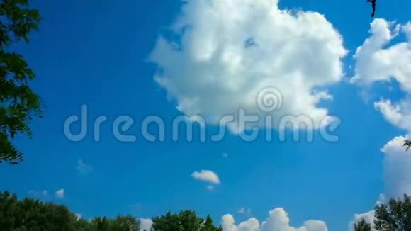 美丽的积云天空时间流逝视频的预览图