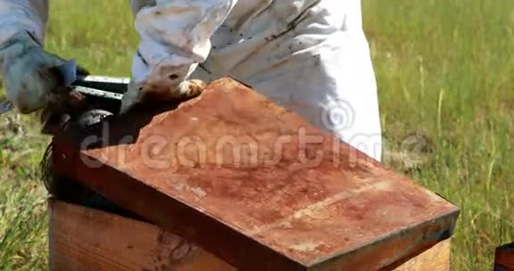 养蜂人把蜜蜂抽离蜂巢视频的预览图