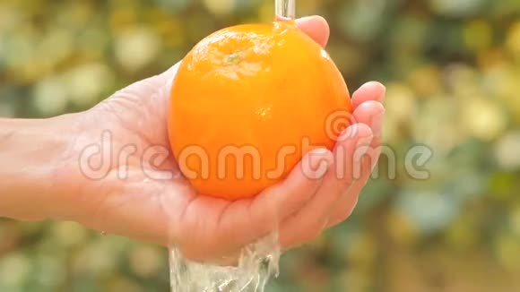 橙色水果在阳光明媚的日子里关闭视频的预览图