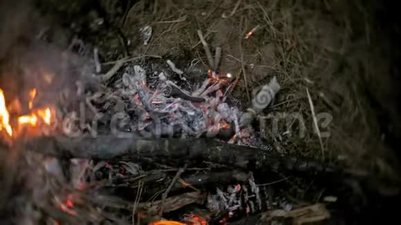 妈妈和孩子们在帐篷附近的火上煎香肠视频的预览图