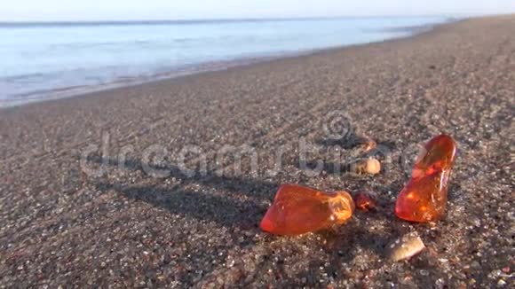 美丽的天然琥珀碎片沙滩沙石视频的预览图