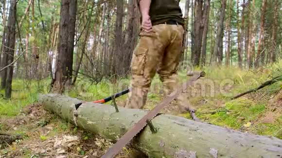 伐木工人用大斧头砍倒了一棵树砍断了森林中的许多碎片健康强壮的成人视频的预览图