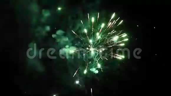 新年庆典天上的烟花视频的预览图