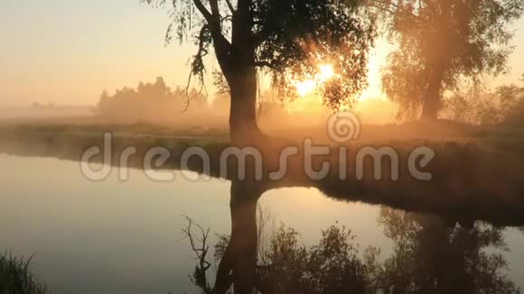 第一缕阳光洒在河上朦胧的黎明视频的预览图