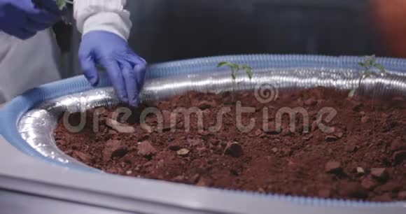 科学家在火星基地种植幼苗视频的预览图
