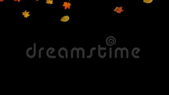 秋天落叶背景视频的预览图
