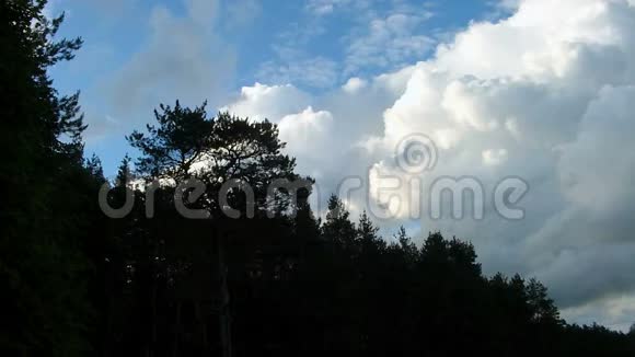 在蓝天森林里上的白色蓬松云的时间流逝片段视频的预览图
