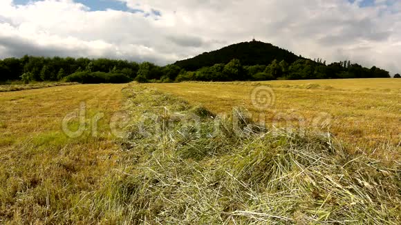 草甸上的干草在农田贝娄山石柱在风中摇曳在丘陵下的乡村做干草视频的预览图