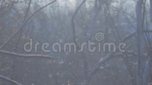 冬雪山水风光自然季节背景视频的预览图
