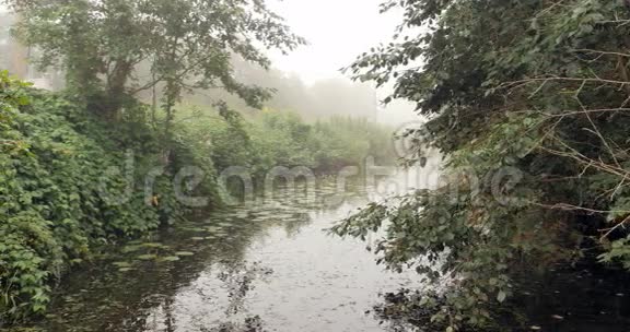 在一片美丽的雾林中沿着河流漂浮视频的预览图