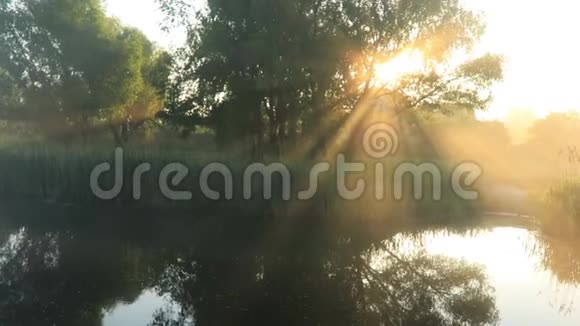 第一缕阳光洒在河上朦胧的黎明视频的预览图