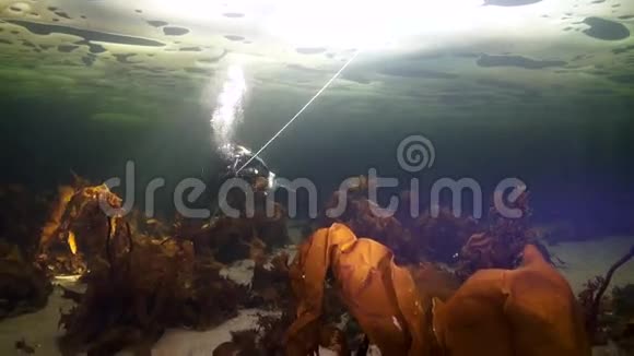 独特的拍摄潜水员水下在海底的冰白海视频的预览图