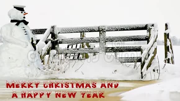 雪人祝你圣诞快乐新年快乐视频的预览图