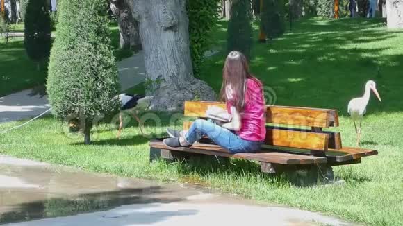 风景如画的公园里的小女孩视频的预览图