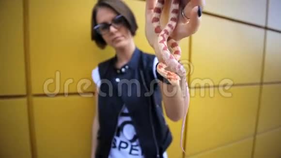 漂亮的年轻女子在街上摆着一条蛇视频的预览图