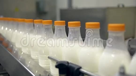 生产牛奶的输送线视频的预览图