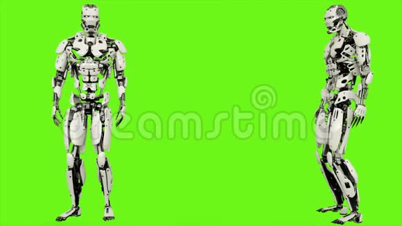 机器人android看向远方绿色屏幕背景下的真实循环运动4K视频的预览图