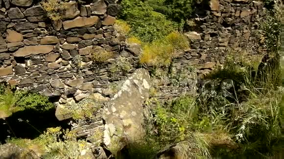 人类正在爬上岩石山两只手在石头和草地上视频的预览图