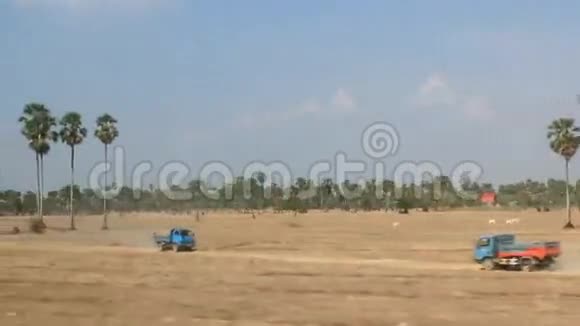 柬埔寨有棕榈树的乡村景象视频的预览图