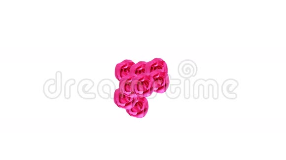 粉红玫瑰情人节概念视频的预览图