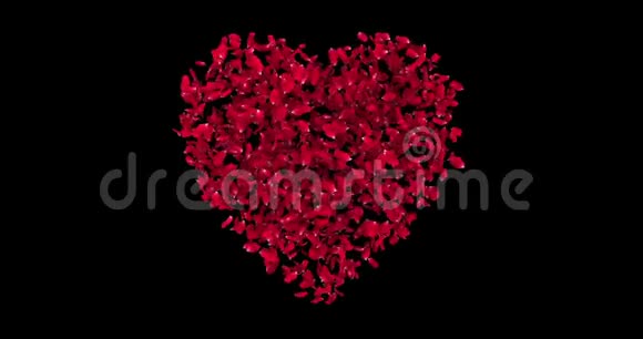 红色玫瑰花瓣红色心形动画黑色屏幕背景上红色粒子崩解带有通道视频的预览图