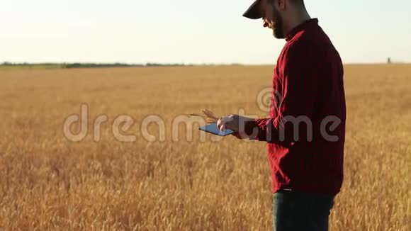 在农业中使用现代技术的智能农业农学家农民手持数码平板电脑视频的预览图