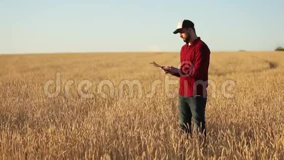 在农业中使用现代技术的智能农业农学家农民手持数码平板电脑视频的预览图