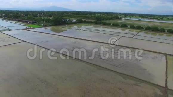 泰国天然稻田鸟瞰图视频的预览图