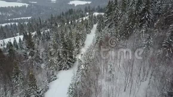滑雪者在松树林中穿行的鸟瞰图白色粉末上的鸟瞰雪花冬季运动视频的预览图