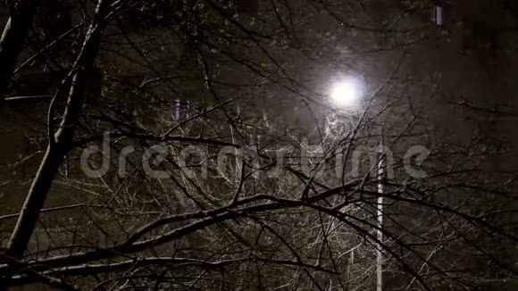 夜晚在城市里下雪视频的预览图