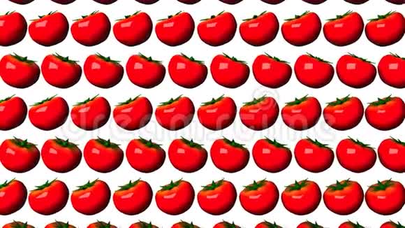 白色背景番茄视频的预览图