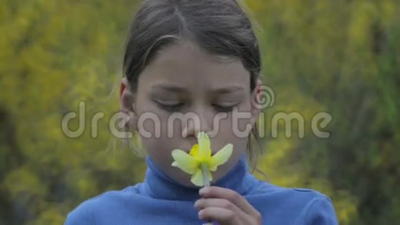 春天一个男孩和一朵黄色水仙花的肖像神秘的男孩闻着水仙花视频的预览图