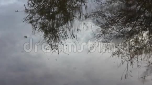 水滴在水上视频的预览图