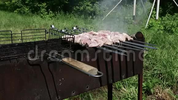 露天烧烤多汁的肉在烤架上热煤和烟雾视频的预览图