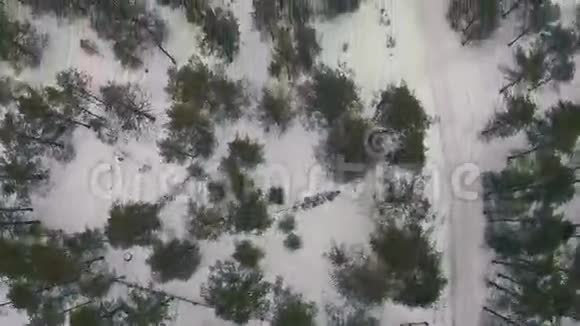 在多云天气的冬季森林上空飞行视频的预览图
