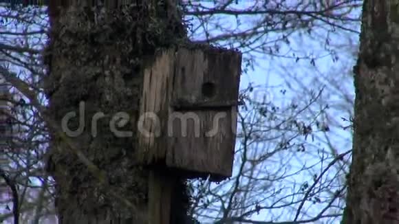 公园里的老式木制鸟舍视频的预览图