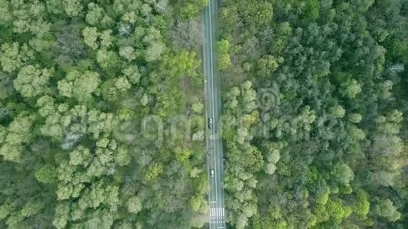 森林汽车路视频的预览图