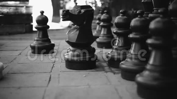 国际象棋的骑士与其他大棋子围绕视频的预览图