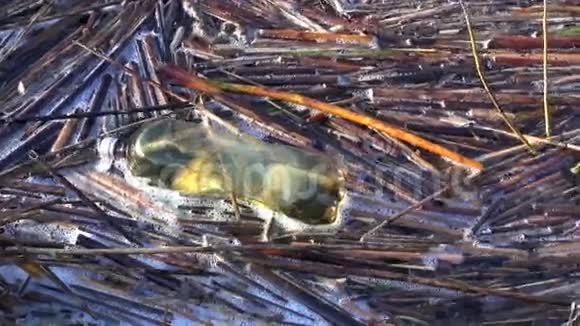自然污染湖水塑料瓶视频的预览图