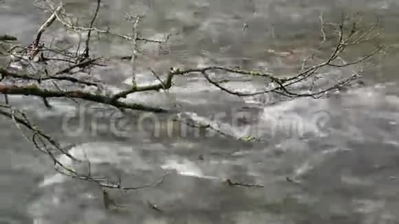 春天的乌尔姆河景观视频的预览图