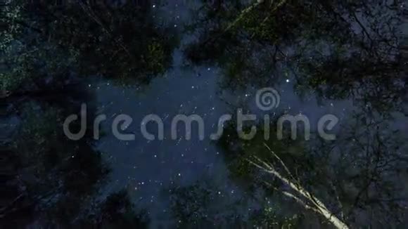 森林之夜时光流逝视频的预览图