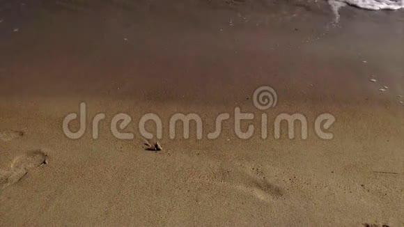 手在沙上牵起一颗心洗去一波视频的预览图