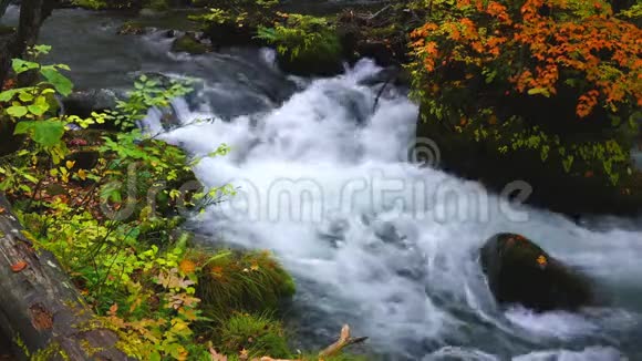 美丽的奥拉西河在秋天的季节在奥拉西峡视频的预览图
