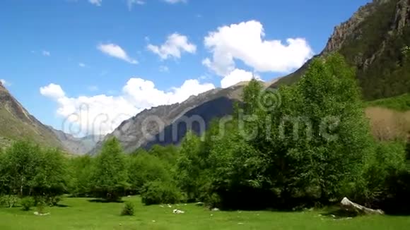 美丽的山景树木蓝天视频的预览图
