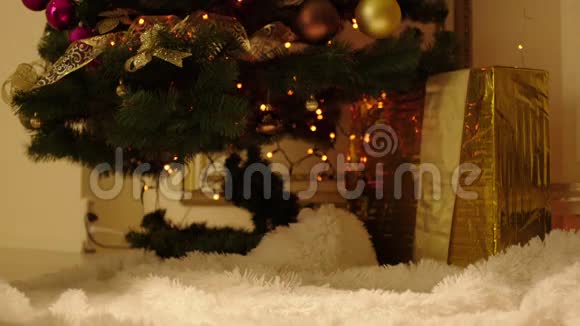 圣诞树旁堆放礼品盒视频的预览图