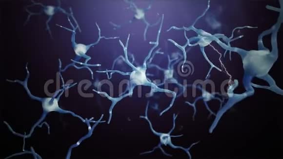 环神经元细胞连接世界视频的预览图